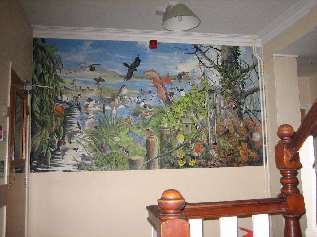 Yha Borth Quarto foto
